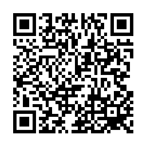 肯定会发现……神蚕几乎是一出场就盯住了它的二维码生成