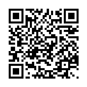 肯定会得出周狼是这家公司高管的结果二维码生成