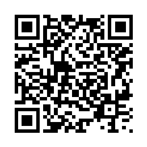肯定是白猫这家伙好几年没出山了二维码生成