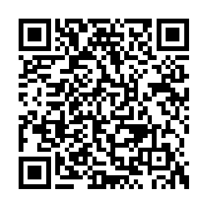 肯定要比生活在风平浪静中的鱼儿更加强壮十倍二维码生成