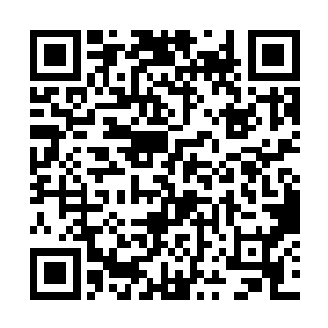 胆子也没治好花柳病还大张旗鼓给医家披红挂彩的肥二维码生成