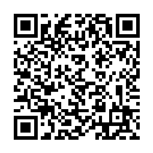 胆子小点儿的在回过神后就夹着尾巴飞快的冲了回来二维码生成