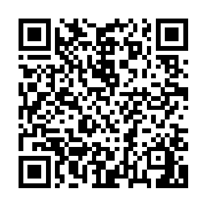 胆小如鼠……苏子安脑海中忽然浮现出最近几次见到苏落的场景二维码生成