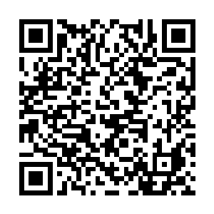 背包男就把一路上收集到的各种小东西都掏了出来二维码生成