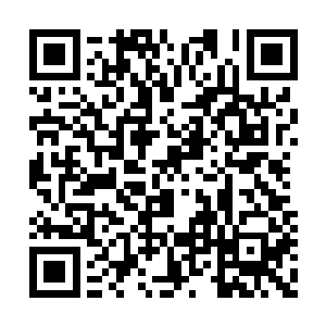 背着一条长长盒子的龙麟看了看苏凡淡淡的问道二维码生成