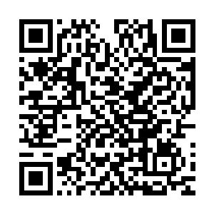 胖乎乎的身躯却轻若鸿毛一般轻飘飘的落在了兽车的车辕之上二维码生成