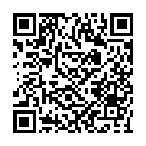 胖子真的从怀中摸出了两根鸡腿给丁磊递了过去二维码生成