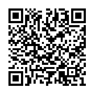 胖子眼睁睁看眷那九颗石子从自己身边一一划过二维码生成