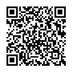 胖子老板殷勤准备的热水和食物都已经送了上来二维码生成