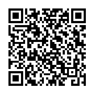 胖子觉得自己三人根本就是闲的蛋疼才接了这个任务二维码生成