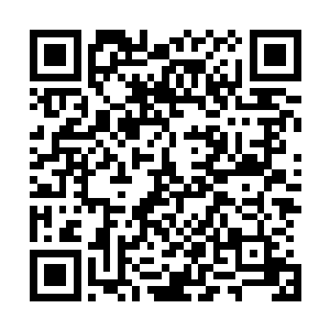 胜屠家应该有不少精锐和你本家的子嗣虚体都给我兜住了吧二维码生成