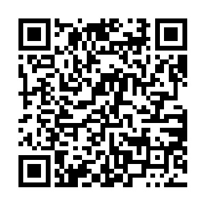 胜诉后的威利和安娜家彻底将凯文家当成了眼中钉肉中刺二维码生成