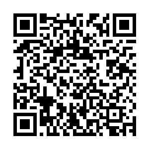 胡人向前一步抬起脚准备踏在张挺的脖子上彻底结束张挺的性命二维码生成
