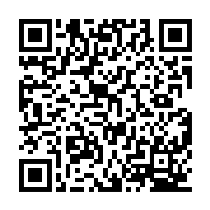 胡明绢只觉得仿佛又回到了那天新闻直播的时候二维码生成
