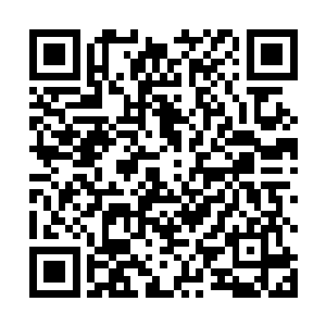 胡车儿听着村子里四处时不时响起阵阵吵杂的喝声叫响二维码生成