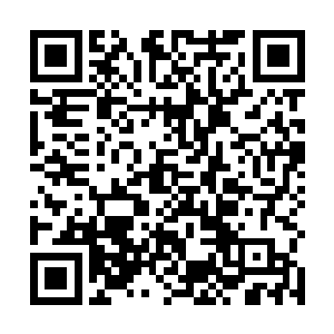 能与魔云纵这个几百年前就曾打遍青荒无敌手的人较量二维码生成