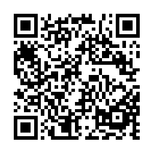 能仿佛被点着了的仙女棒一般的神识冒着白色火焰二维码生成