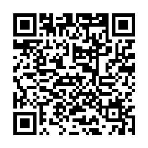 能否把青乌府有关粮价和粮食流通的文书发送给我二维码生成