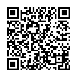 能和我分享一下你现在看的这本书是讲什么的吗二维码生成