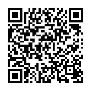 能在一瞬间无声无息地击杀几十个战魂殿的精锐二维码生成