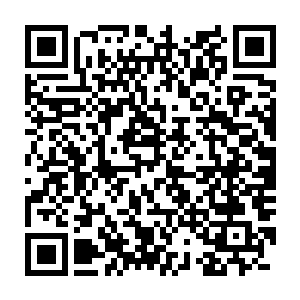 能在三个月内就把藩王赵毅苦心经营十多年的地盘硬生生用马蹄踩烂二维码生成