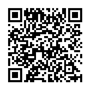 能够以一个资质愚钝的小弟子身份搞定高高在上的大能二维码生成