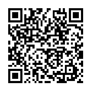 能够优哉游哉从尸体上拔出或是是从地上捡起弓箭二维码生成