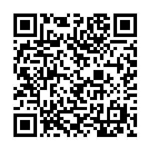 能够作为各大魔法世家的子弟参加这一次的秘境试炼二维码生成
