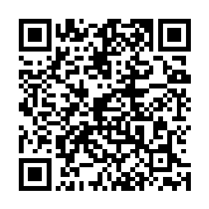 能够做到这一步的人呢或许只有这黑暗教皇加隆一人而已吧二维码生成