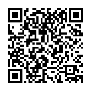 能够在五十岁的年龄就获得这么高的身份地位这可绝对不是偶然二维码生成