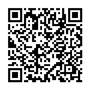 能够在竞争极其残酷的黄金时间点占据一席之地二维码生成
