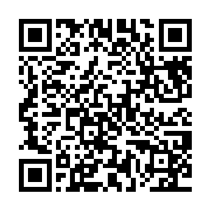 能够在雷劫之光沐浴之下领悟出下品中等圣域绝学的凤毛麟角二维码生成