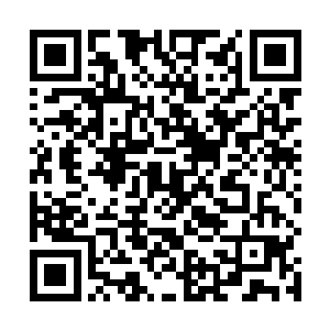 能够将这两种功法任何一种修炼到极致的几乎少之又少二维码生成
