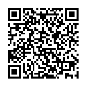 能够将这样一个庞大的秘境完全笼罩起来的护法大阵二维码生成