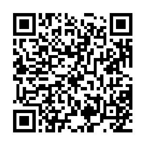 能够得到萧易和安锦华这样的他欣赏的人的认可和赞赏二维码生成