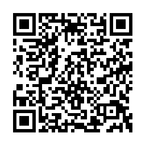 能够得到观众的响应就是对表演者最大的奖赏了二维码生成