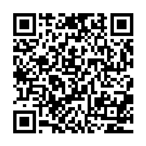 能够打败元婴巅峰的李鸣已经是非常了不起的事情了二维码生成