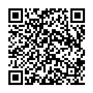能够最终依靠自身实力走入到这里来的各方势力二维码生成
