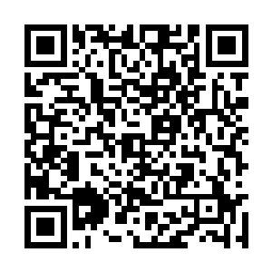 能够被云梦之境四位始祖给收到这里来立下坟墓的二维码生成