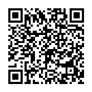 能够被皇上和齐浩然选出来做他们侍卫的莫不是忠心耿耿的勇士二维码生成