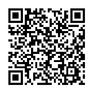 能够让我们更加清楚的掌握好村民们的动向和想法二维码生成