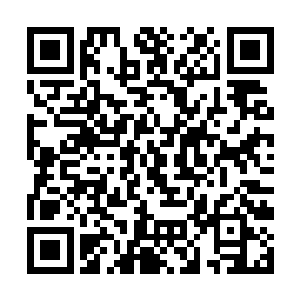 能够赢得蓝紫级乃至于紫黑级双料贵族还算情有可原二维码生成