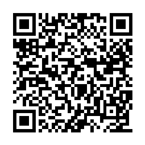 能够达到天阶巅峰甚至是极限的仍旧是鹤立鸡群二维码生成