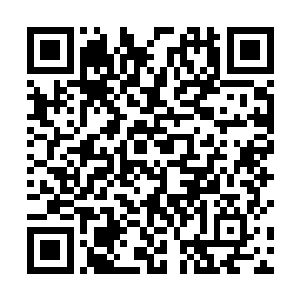 能屈能伸让很多人都觉得司南下这个人还是很有魄力的二维码生成