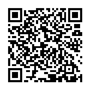 能当众对十鹰旗统领等人动用军法行刑本就意味着威信二维码生成