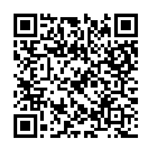 能把这冷冰冰的人给一下子给调高了好几个兴奋度二维码生成