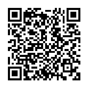 能无声无息出现在这里的大陆上恐怕就是神级的高手也很难吧二维码生成