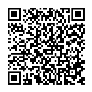 能用这么一点身外之物就见识一下可以用十倍以上效率吸收元素水晶的旷世秘技二维码生成