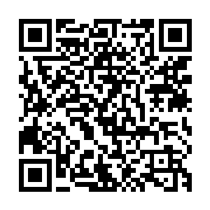 能言善辩的质问海关凭什么不放他们入关协助公司保护客户财产二维码生成