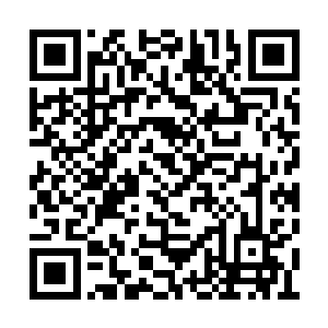 能请动那吞云大师为小黑皮助拳……她年纪轻轻二维码生成